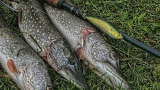 Рыбалка в челябинской области видео щука